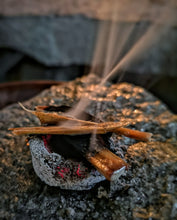 Load image into Gallery viewer, douglas fir incense sticks - Fatwood - Resin - Pitch