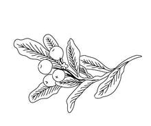 Load image into Gallery viewer, plain flame 10-pack